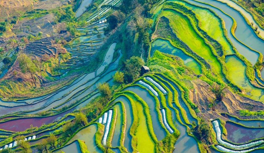 走进京山县TVC拍摄：解锁本地化场景与创意镜头的完美融合
